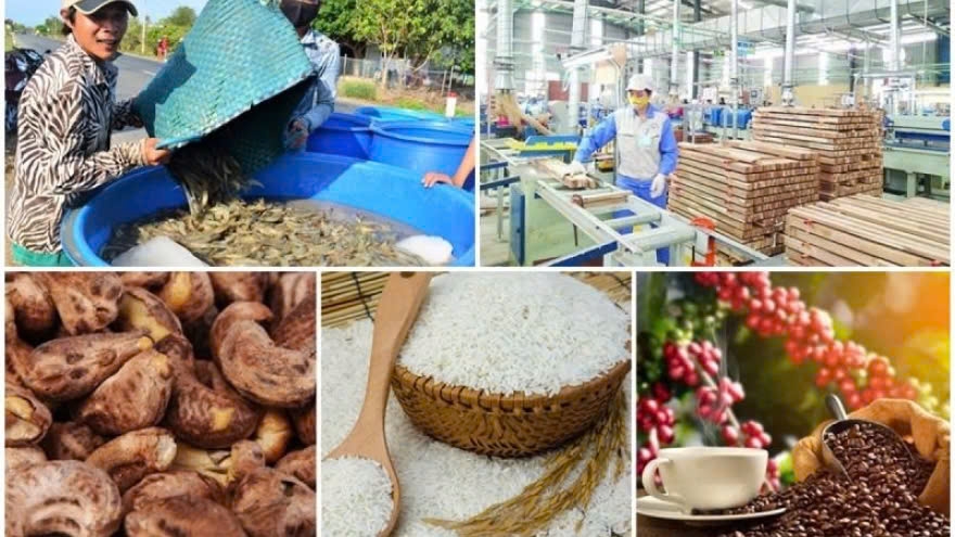 Vietnam’s agro-forestry-fishery export earnings hit record high of US$62 billion